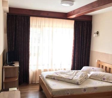 Curtea De Arges Hotel | Motel Mesterul Manole