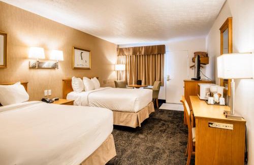 Rouyn-Noranda Hotel | Motel Mistral