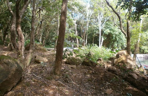 Fortuna House | Mother Nature shares her home with you
