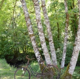 Cusance Bed & Breakfast | Moulin de la Cuse - Chambre l'Anse