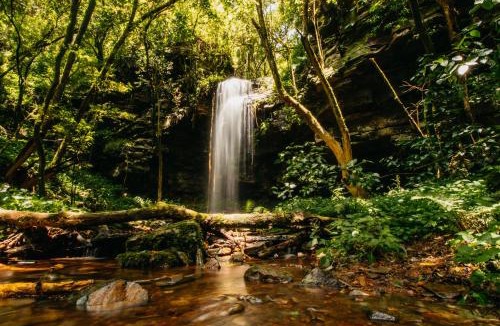Pilgrims Rest Hotel | Mount Sheba Hotel and Rainforest