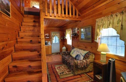 Helen House | Mountain Cabin 2B Jacuzzi #10