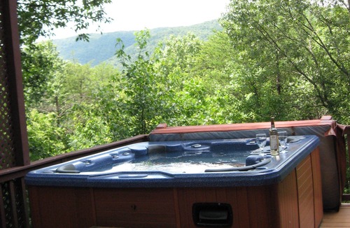 Cleveland Cabin | Mountain cabin/hot tub/fireplace/Game room/Pet Friendly/long term rental.
