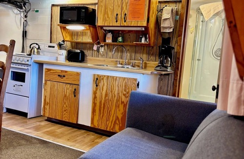 South Fork Cabin | Mountain cabin with river views Sleeps 4. 15 minutes from Wolf Creek Ski Area.