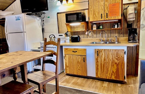 South Fork Cabin | Mountain cabin with river views Sleeps 4. 15 minutes from Wolf Creek Ski Area.