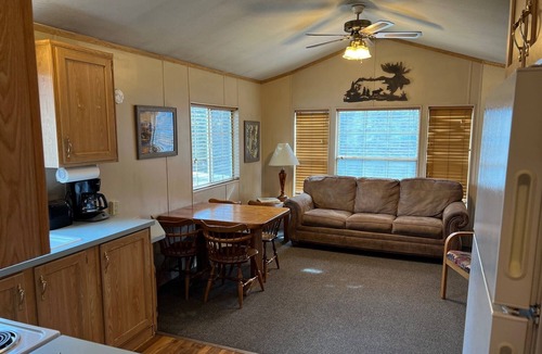 South Fork Cabin | Mountain cabin with river views Sleeps 4. 15 minutes from Wolf Creek Ski Area.