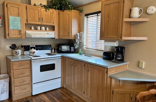 South Fork Cabin | Mountain cabin with river views Sleeps 4. 15 minutes from Wolf Creek Ski Area.
