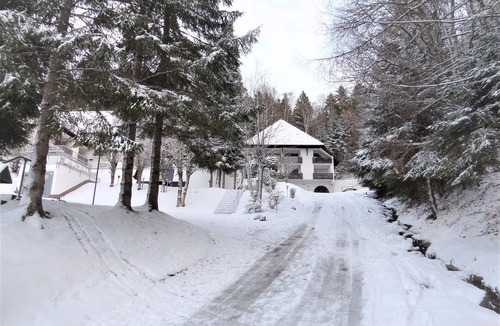 Triberg im Schwarzwald Apartment | Mountain view apartment, idyllic location on the edge of the forest, 5 min. to the waterfall