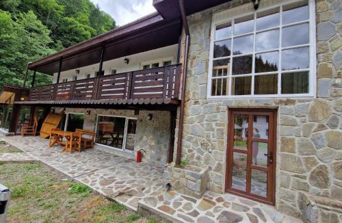 Bicaz Villa | Mountain FIsh