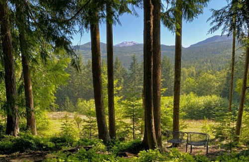 Sequim Cabin | Mountain Forest Cabin Near Olympic NP Wildlife Deck