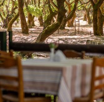Kalavrita Apartment | Mountain Hotels "Aroanides"