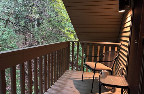 Sautee Nacoochee Ski Chalet | MOUNTAIN LAUREL CHALET: Private 10 Acre Retreat in Helen - GEORGIA WINE COUNTRY!