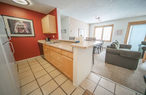 Mountain House Condo | Mountain Summer Retreat | Walk to Snake River
