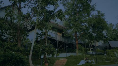 Vayittiri Bed & Breakfast | Mountain Vibes Resort Wayanad