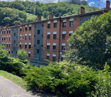 Figaredo Apartment | Mountain View Apartment