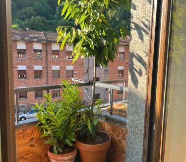 Figaredo Apartment | Mountain View Apartment