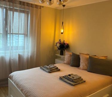 Campulung Apartment | MOuntain View Apartment