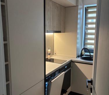Campulung Apartment | MOuntain View Apartment