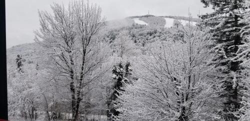 Stoneham House | Mountain view chalet avec vue sur la montagne