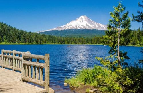 Rhododendron House | Mountain View Retreat