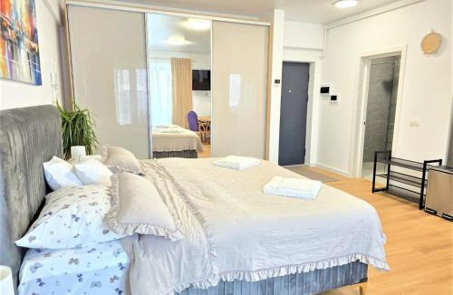 Piatra Neamt Apartment | Mountain View Studio
