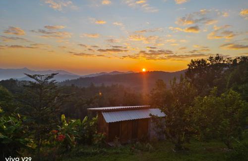 Mae Wang Cabin | Mountain view