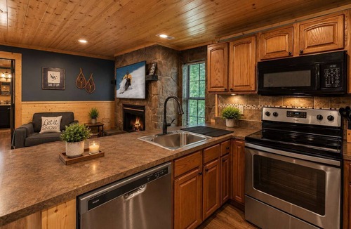 Caton Apartment | Mountain Views at Dolly's Castle 2