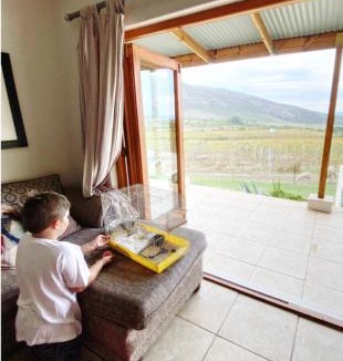 Langeberg Villa | Mountainview Vineyards