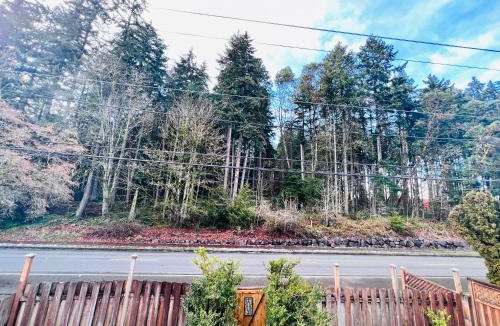 Shoreline House | MountForest