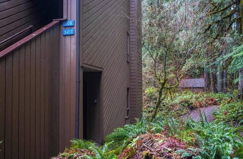 Glacier Condo | Mt Baker Serene End Unit Wood-Burning Fireplace