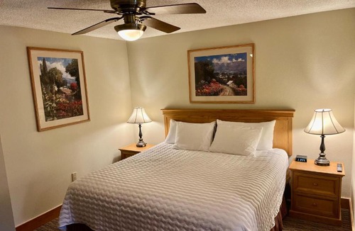 Mount Crested Butte Apartment | MT CB Base Area with King Bed, Outdoor Hot Tub & Pool