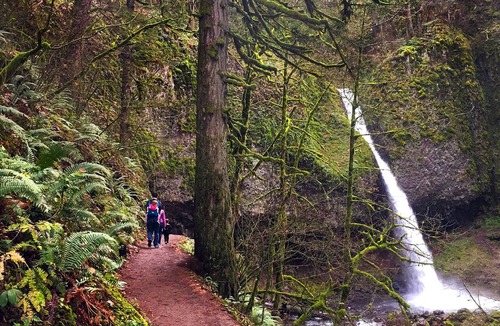 Mount Hood Village Other | Mt Hood Village RV Resort