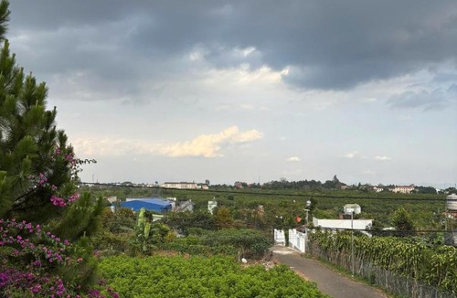 Bao Loc House | Muối Hồng Homestay