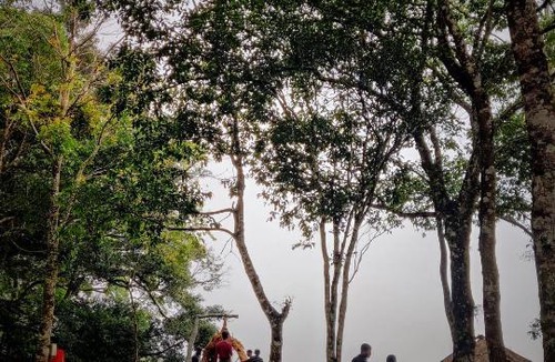 Suryanelli Other | Munnar iwa