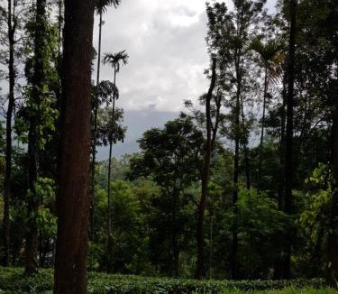 Udumbanchola Villa | Munnar Tea Estate Bungalow