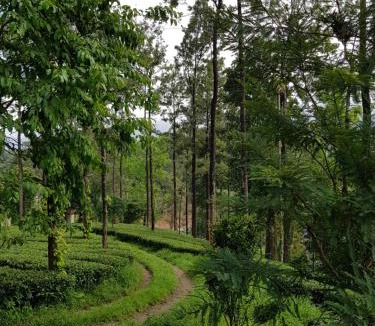 Udumbanchola Villa | Munnar Tea Estate Bungalow