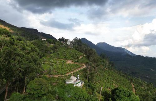 Devikolam Other | Munnar tea estate stay rooms and individual cottage - glass room stay