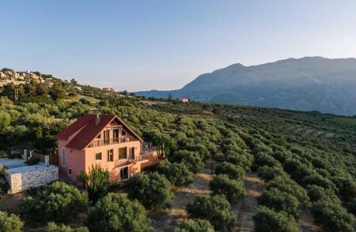 Agios Myronas Villa | Myron Olive Villa Retreat