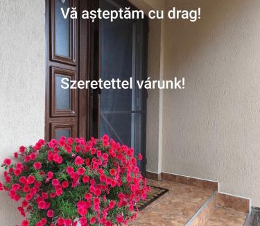 Corund Bed & Breakfast | Nárcisz B&B