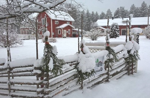 Furudal House | Näsets Marcusgård