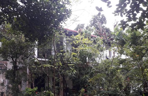 Kandalama House | Nag
