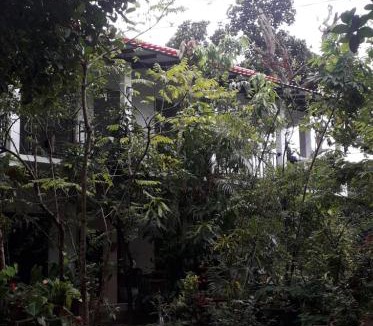 Kandalama House | Nag