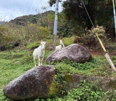 Yakushima House | NAGATA TIME