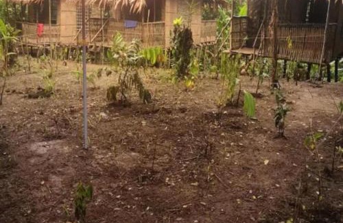 Raburua House | Nagu