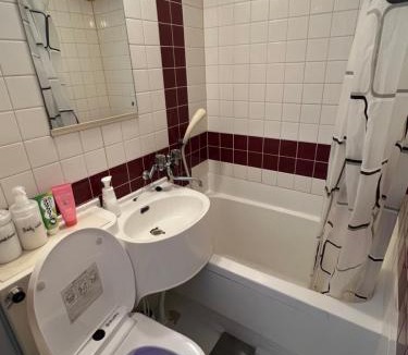 Nishishinsaibashi Apartment | Namba Hana Hostel