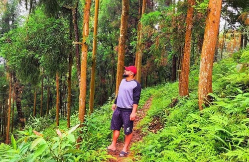 Tukdah Forest Cottage | Nambang Homestay in Tinchuley ,Wonderful 4-bedroom cottage in Tinchulu