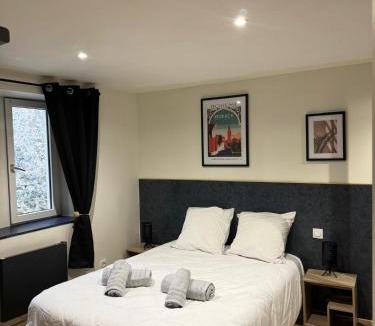 Saint Nicolas - Charles III - Ville vieille - Trois Maisons - Leopold Apartment | Nancy Blue Stan
