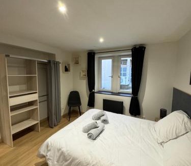 Saint Nicolas - Charles III - Ville vieille - Trois Maisons - Leopold Apartment | Nancy Blue Stan
