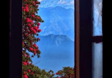 Ukhimath House | Nanda Devi Home Stay Sari Chopta