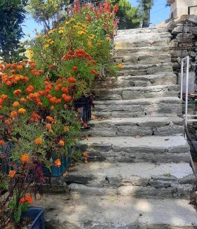 Almora House | Nanda View Cottage